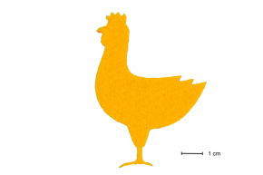 g0